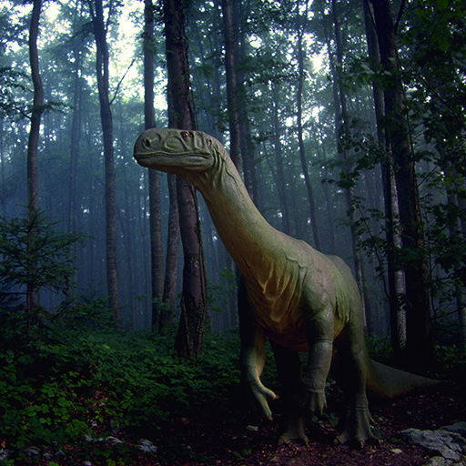 Grottes et Préhisto-Parc